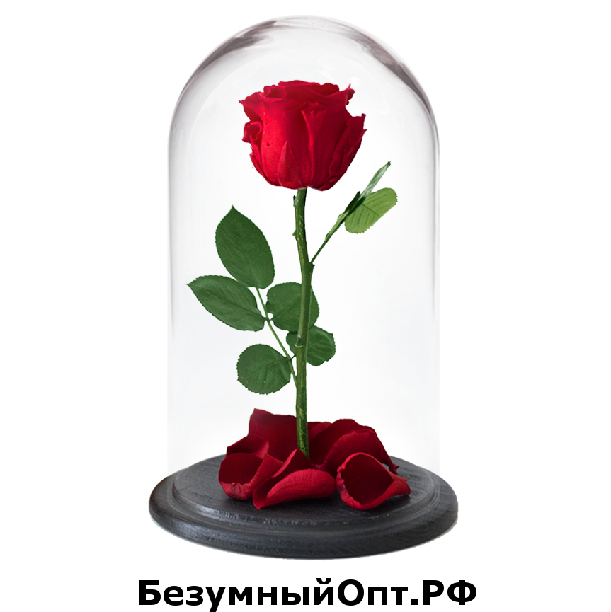 Роза в колбе  27х15 см оптом